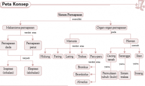 peta konsep bab 6